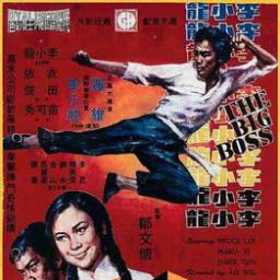 Most Similar Movies to the Big Boss (1971)